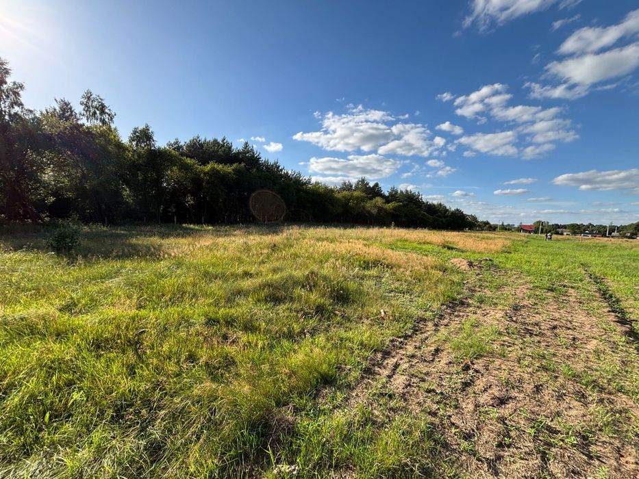 Działka budowlana 15ar przy lesie niedaleko Skępego