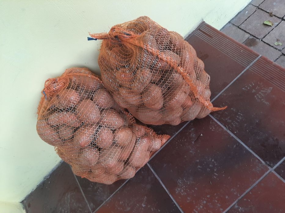 Ziemniaki Czerwone Bellarosa Pyszne ! Najlepsza cena.