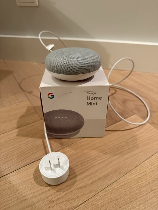 Google home mini