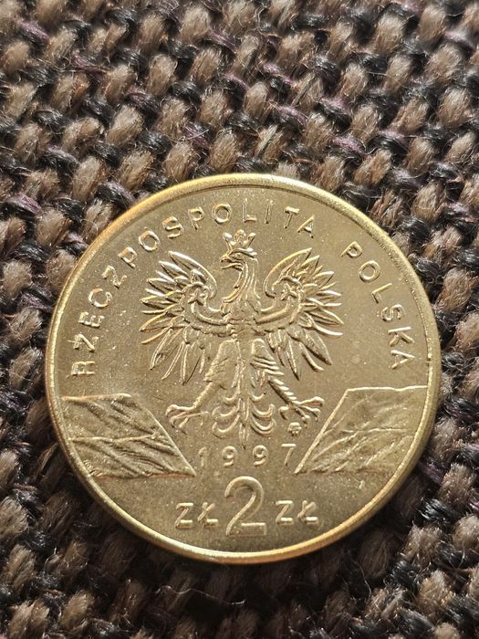 Jelonek rogacz 2zl ng kopia