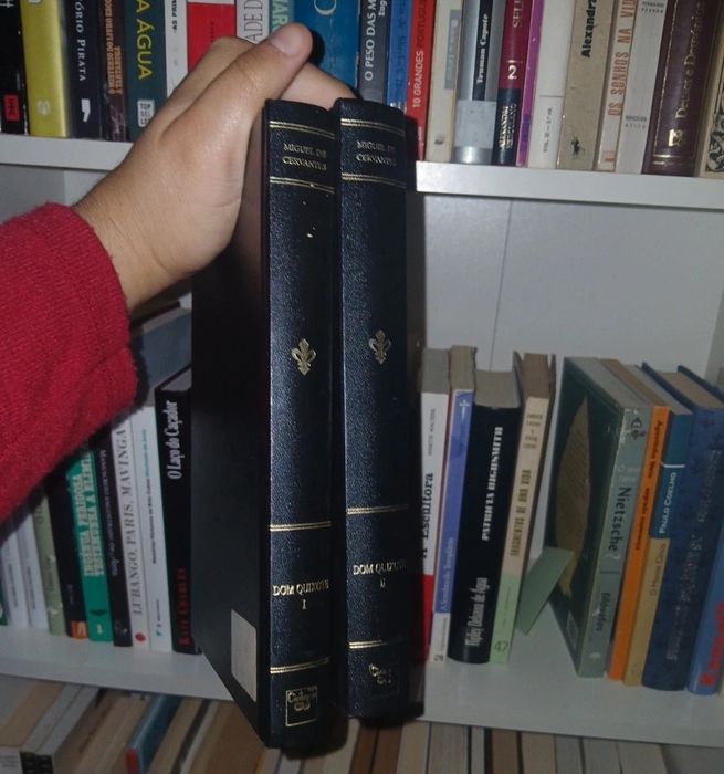 2 livros - Dom Quixote, Miguel de Cervantes