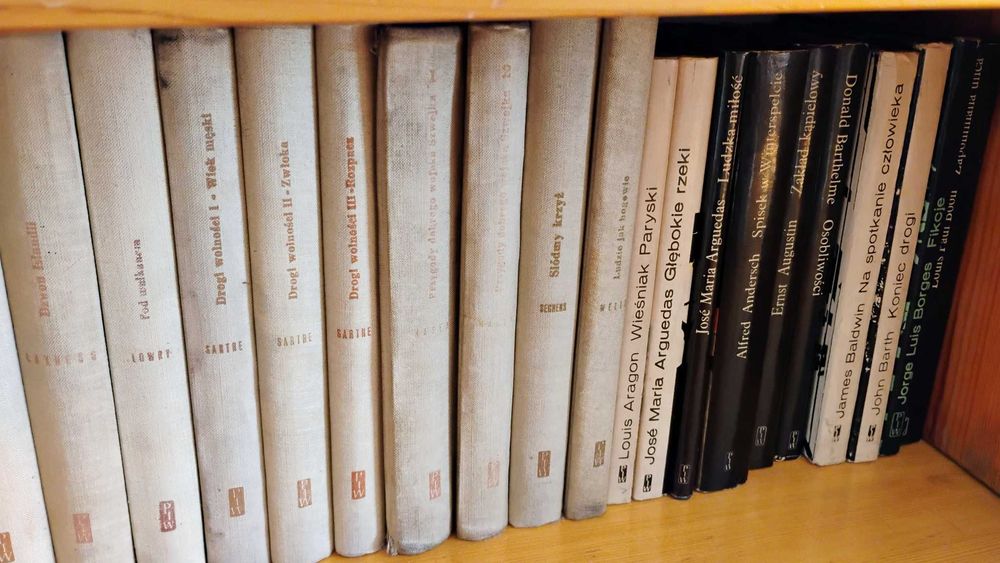 Seria klasycznej literatury światowej