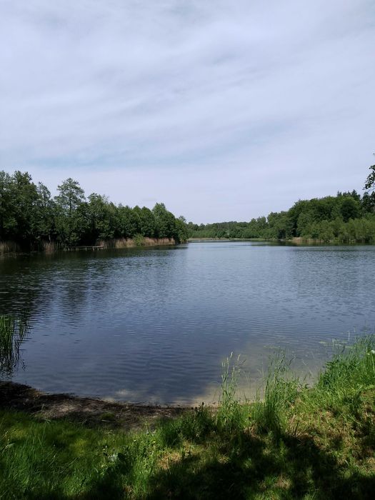 Kaszuby domek za wsią Głodowo WOLNE TERMINY OD 28.08