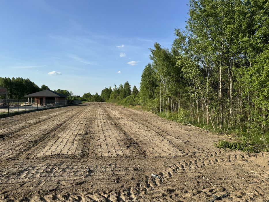 Mulczer Wgłębny Karczowanie Rekultywacja Działek Wycinka Drzew
