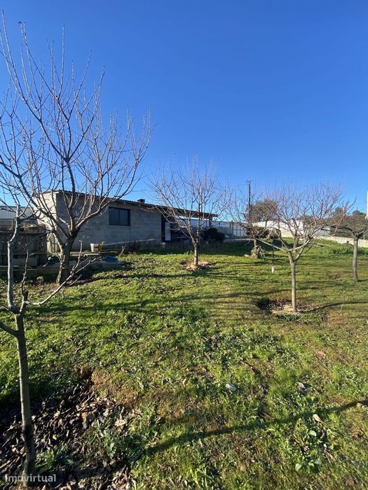 Quinta em Castelo Branco