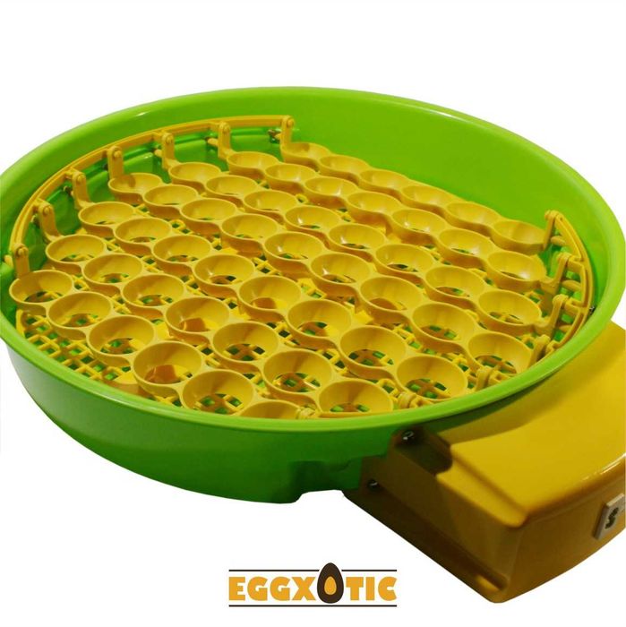 Chocadeira Automática - Galinhas, Aves Exóticas e Reptéis