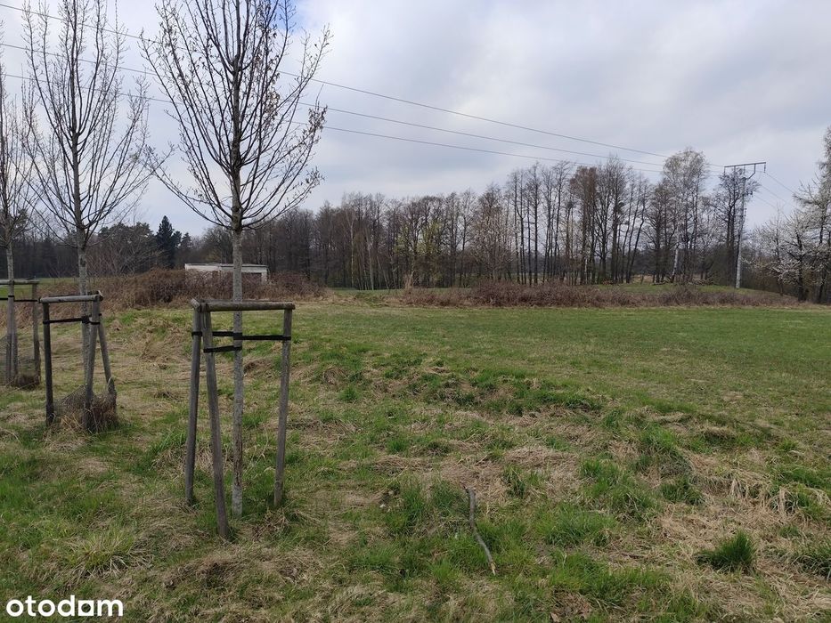 Działki budowlane z wydanymi warunkami zabudowy WZ