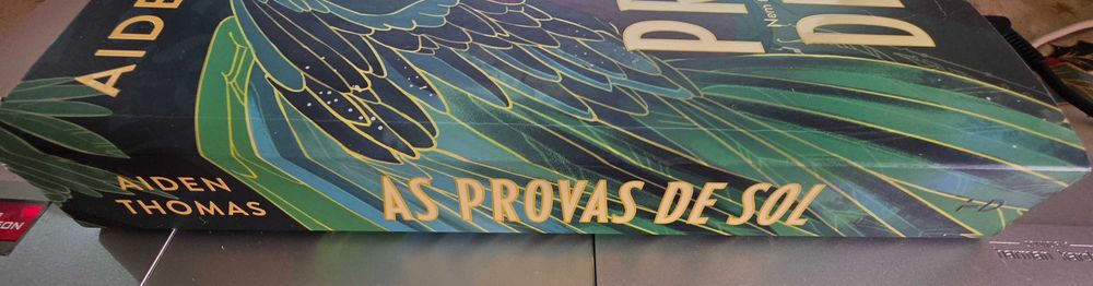 As Provas de Sol de Aiden Thomas