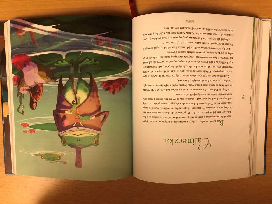 KIĘGA BAŚNI mojego dzieciństwa