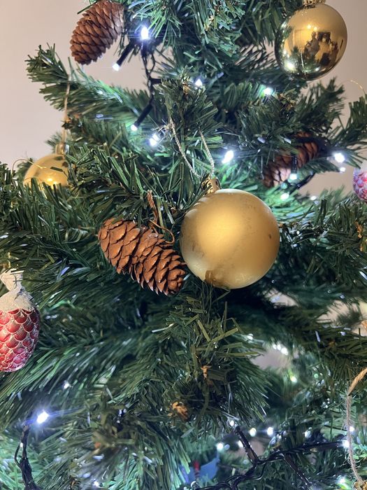 Arvora de natal como nova