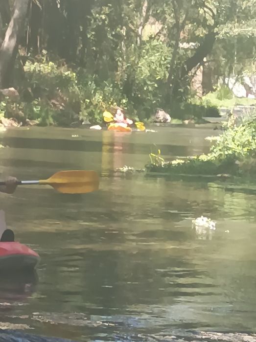 Canoagens Nabão Zêzere e Tejo