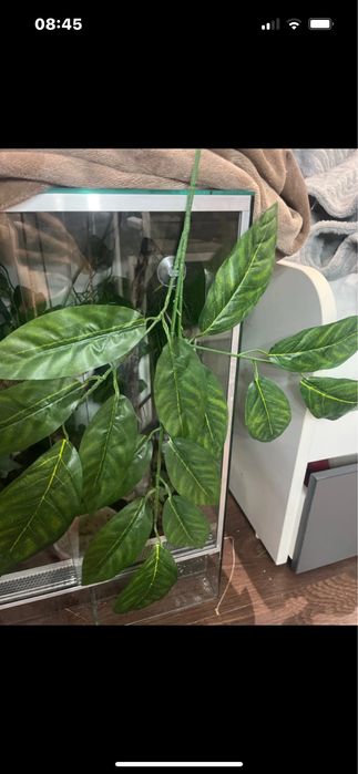 liście do terrarium akcesoria