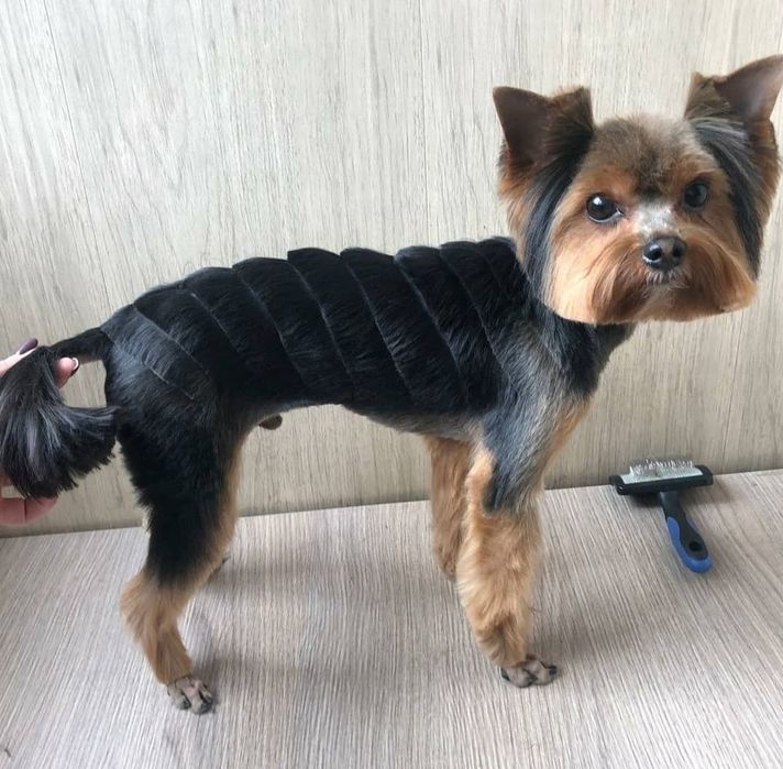 Хлопчик для в'язки.