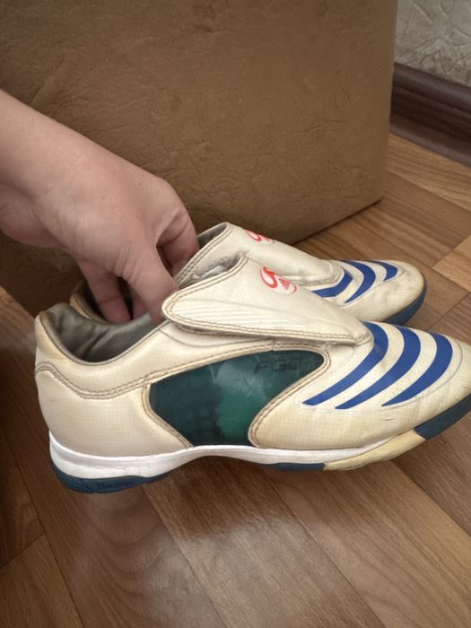 Продам сороконіжки 35 р