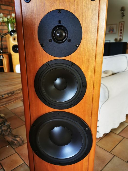 Kolumny Dynaudio contour 3.0