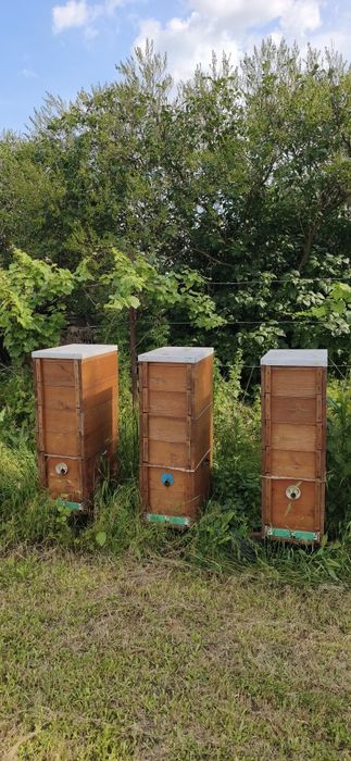 Продам вулики Поліводи(рогаті)