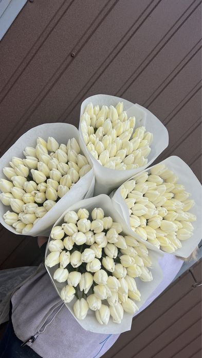 101 тюльпан =3800грн( власне виробництво)