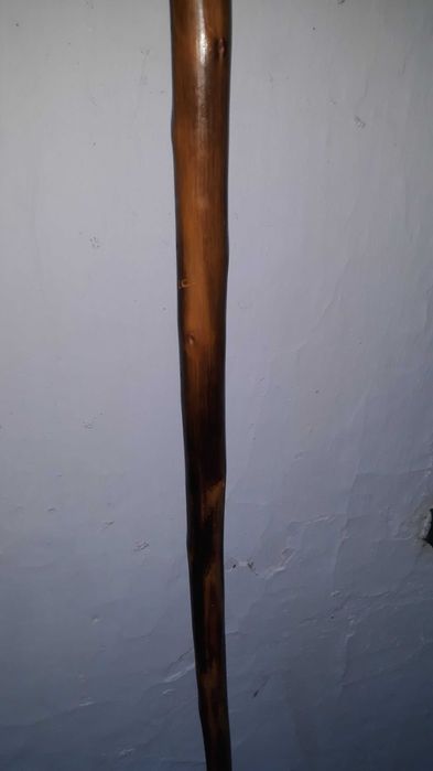 Paú de Caminhante de Colecção Privada #1