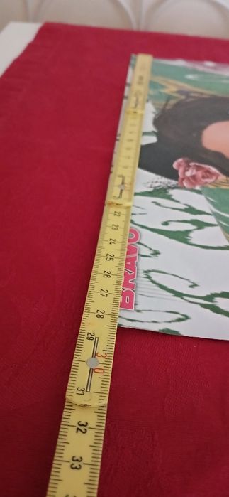 Poster Selena/The Hunger Games