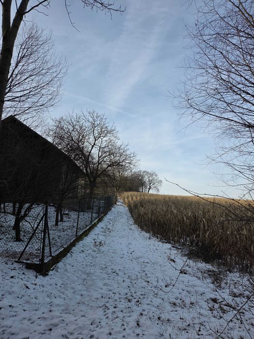 Sprzedam działkę 64,5 ara w Rawalowicach