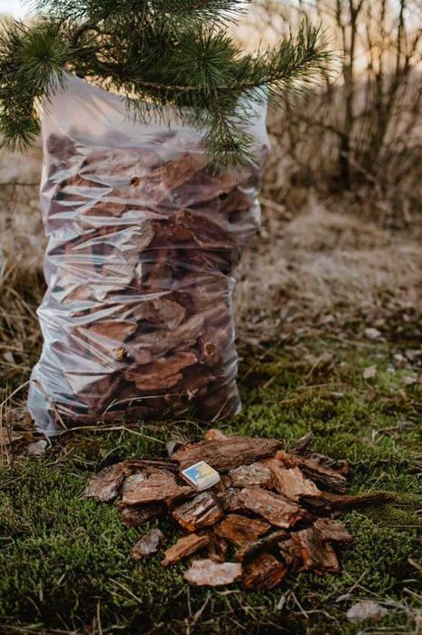 Przepiękna Kora ręcznie sortowana AŁTAJ PREMIUM- TRANSPORT GRATIS