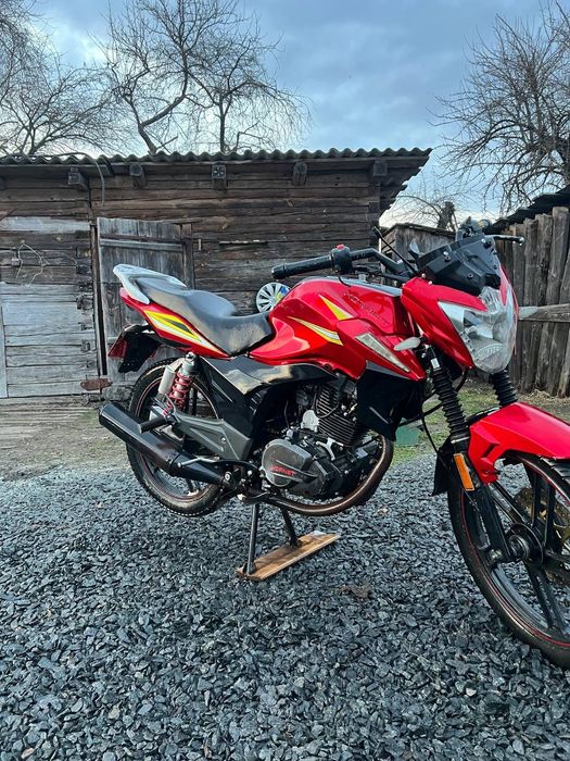 Двигун Та Інші Запчастини ! Xornet Gt-200 Запчастини Birg x6 spark r 36 200 162 Fml