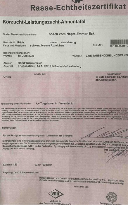 Шикарний  кобель