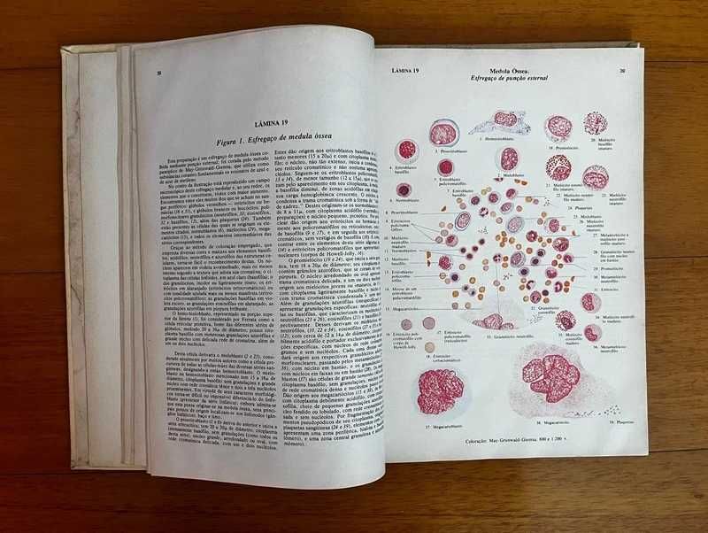 Atlas De Histologia 7ª edição