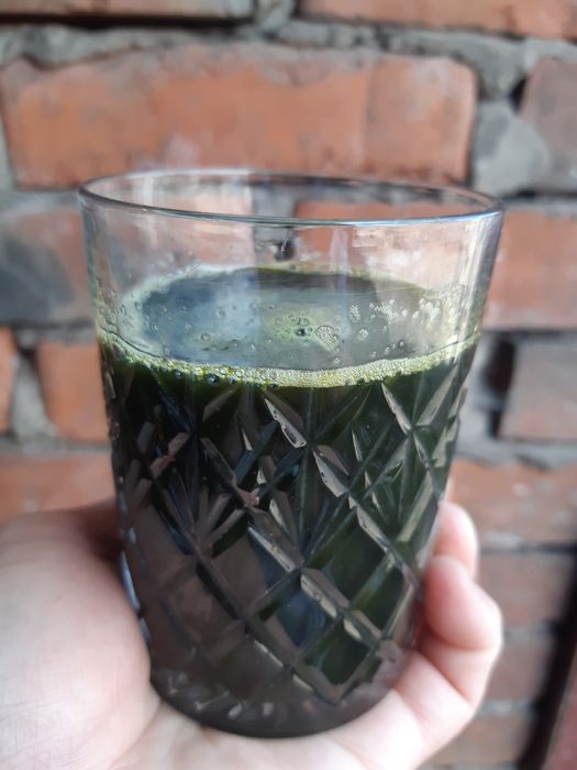 Продам свежезамороженный сок лопуха апрельский