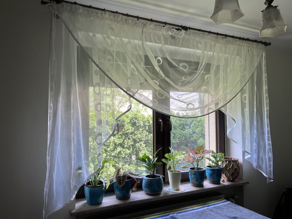 Firanka na taśmie , ecru