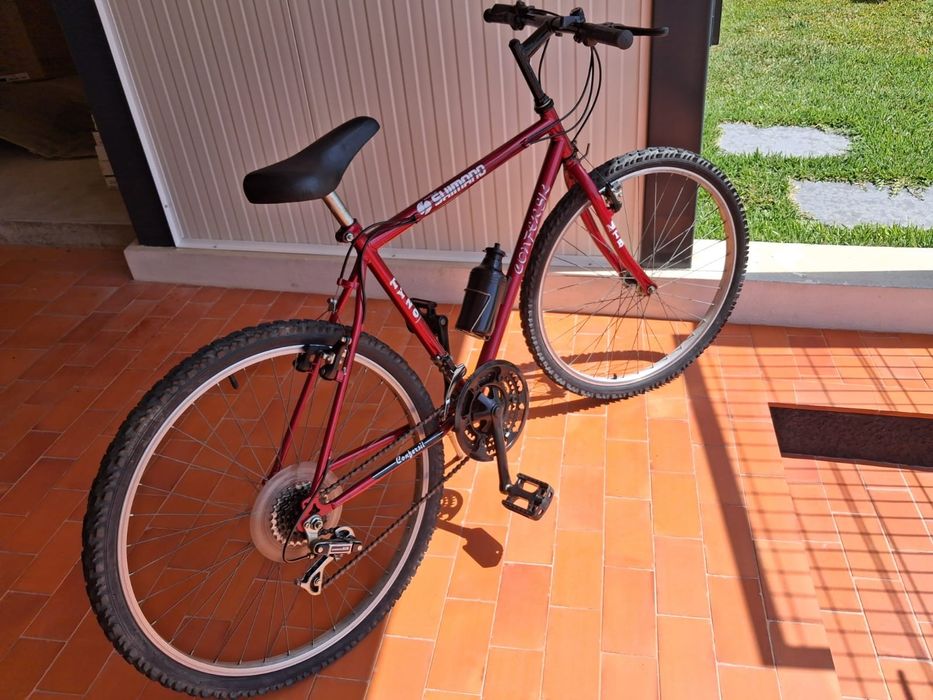 Bicicleta adulto