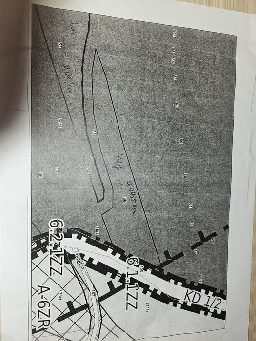 Las z widokiem na kotline żywiecka