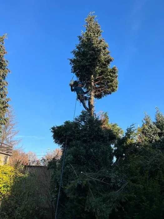 Mycie kostki brukowej, elewacji i dachu. BEZPŁATNA WYCENA