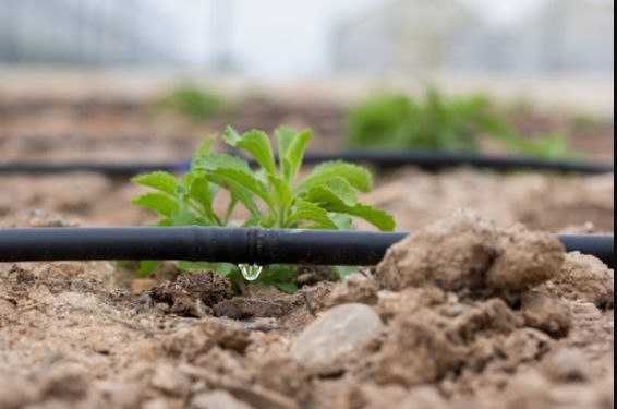 Акція! - Автополив, Автоматический полив зі знижкою діє до 31 березня