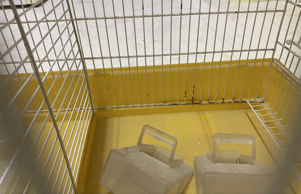 Acessórios para gaiolas