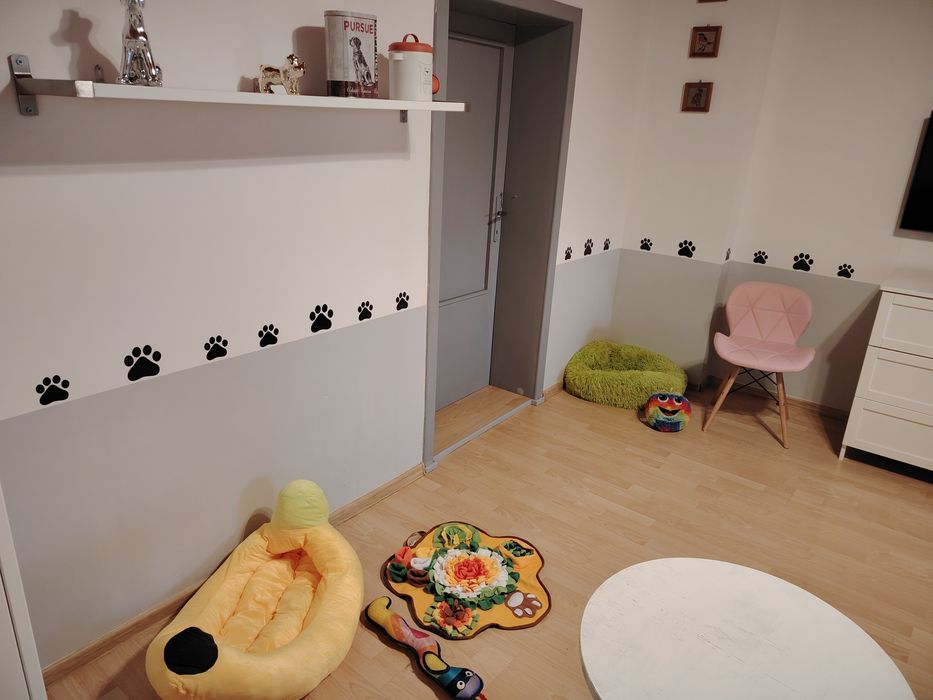 Hotel domowy dla psów zwierząt PsiTulaskowo opieka behawiorysty