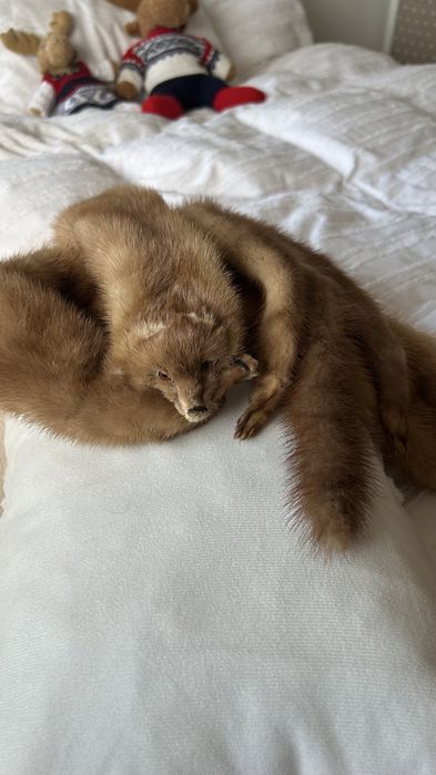 Estolas vintage em pele de Marta/Vison-par raro e autentico