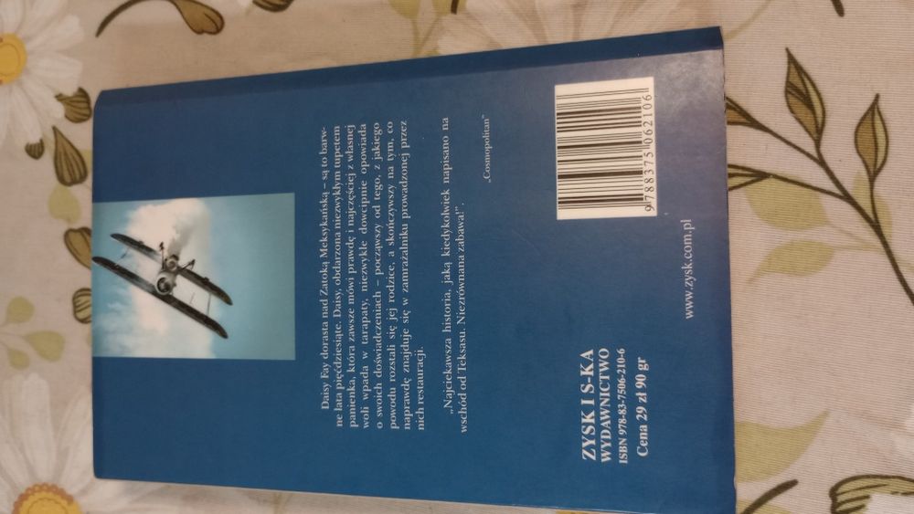 Daisy Fay i Cudotwórca. Fannie Flagg