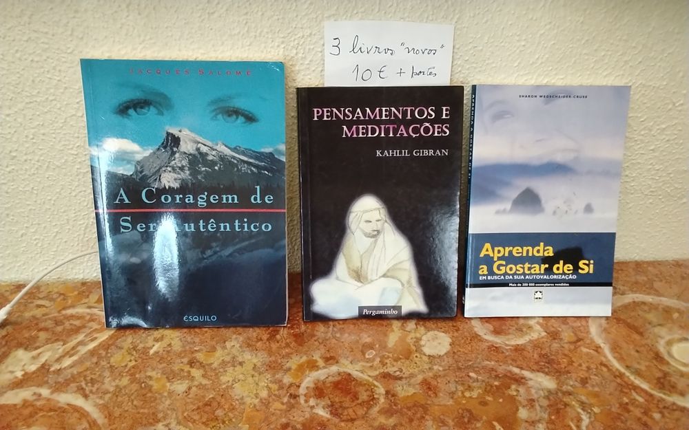 Conjunto de três livros motivacionais