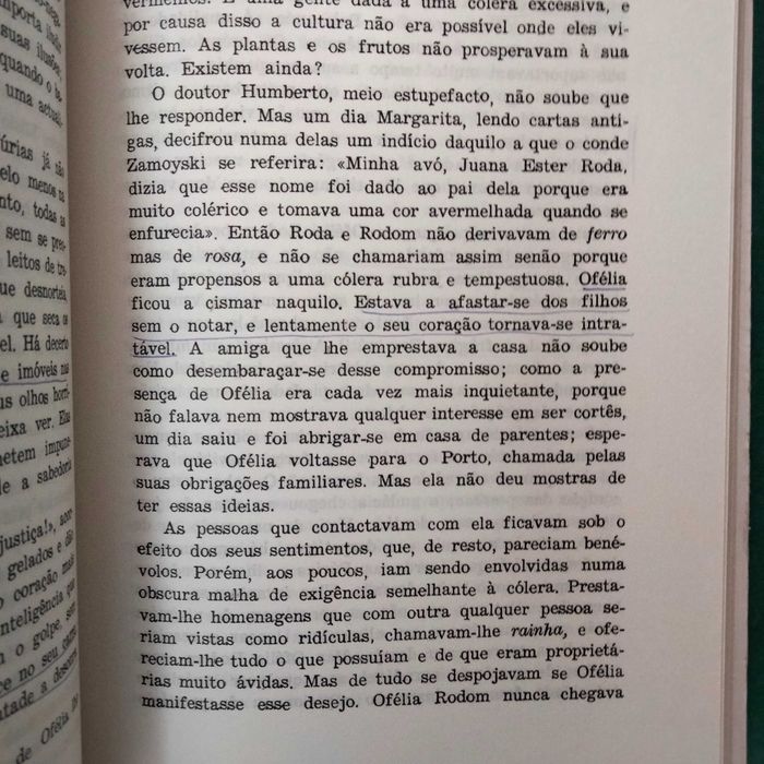 As Fúrias - Agustina Bessa Luís (2ª Edição)