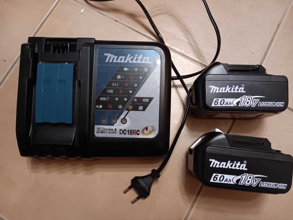Carregador e 2 baterias