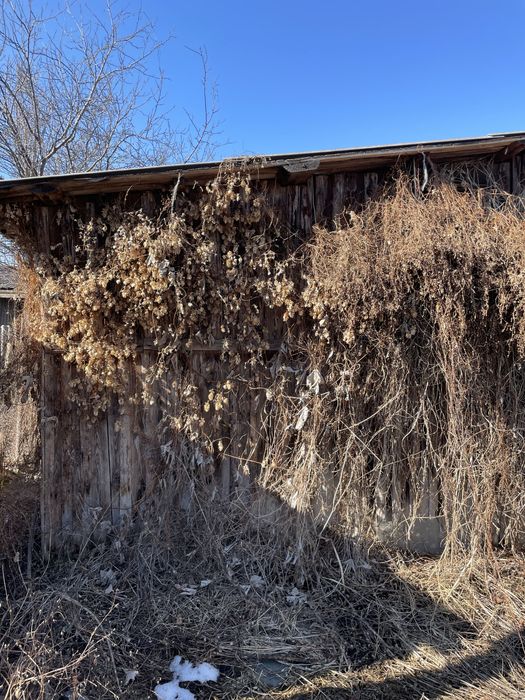 Віддам безкоштовно дошки на дрова з сараю та шифер