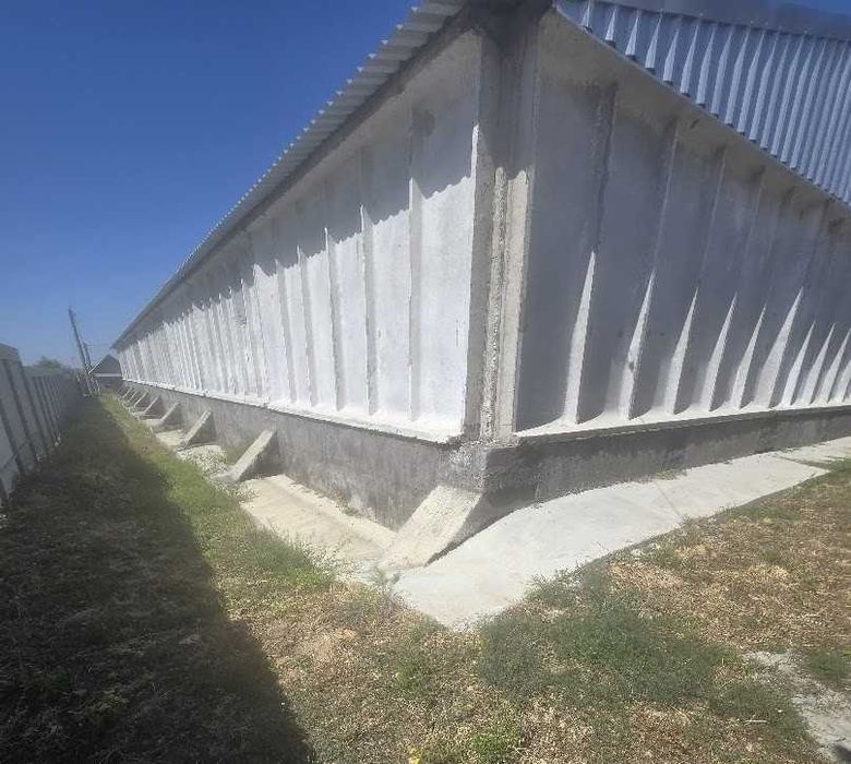 Ангари та зерносховища: Капітальні залізобетонні конструкції