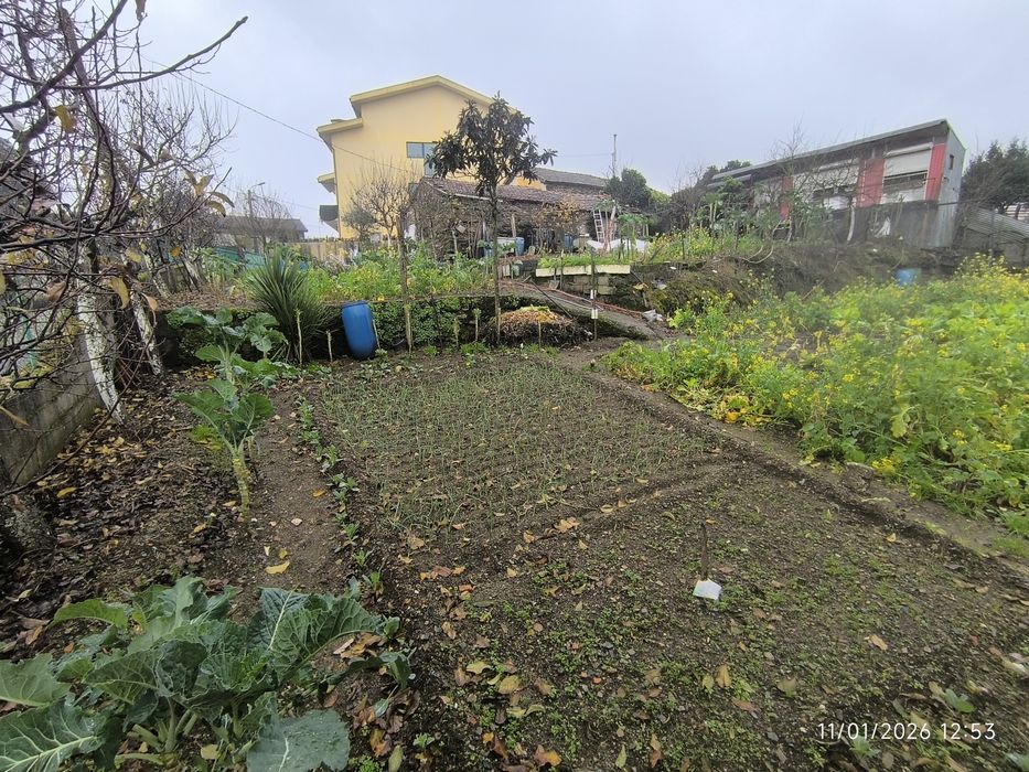 Oportunidade Terreno Urbano 1000m2