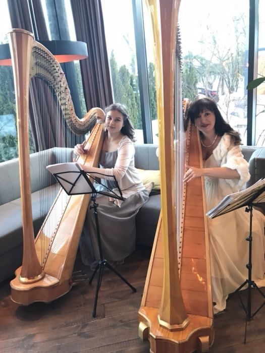 арфа. арфистка, Музыка на свадьбе.