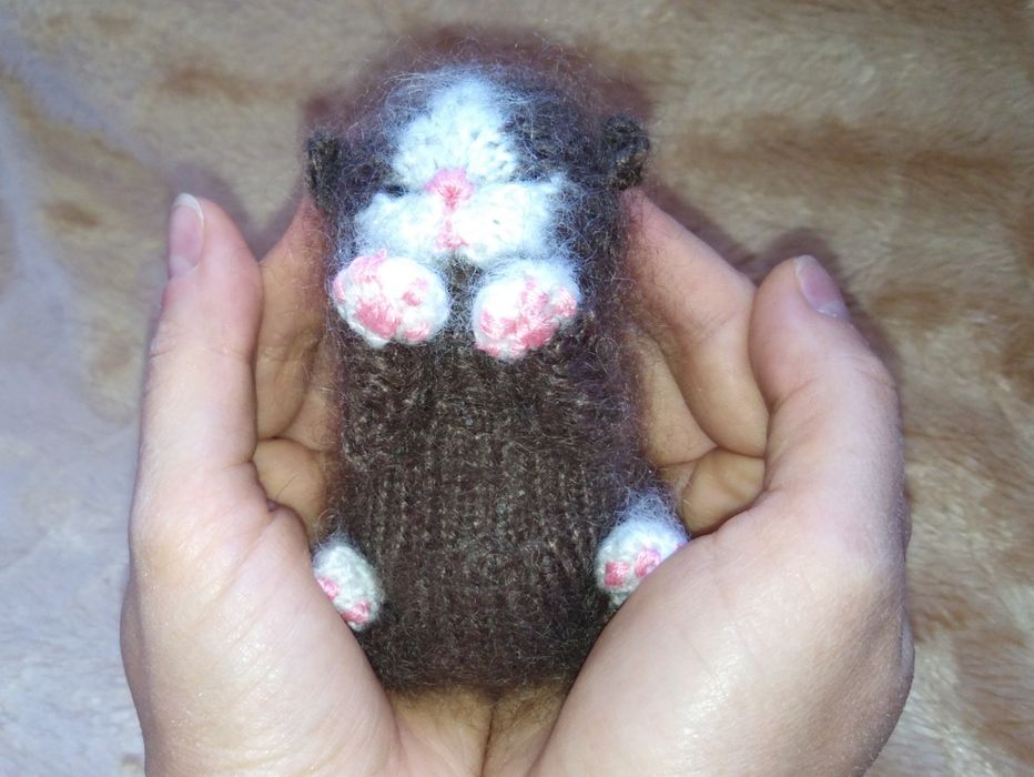 Кошеня - дарунок на свята