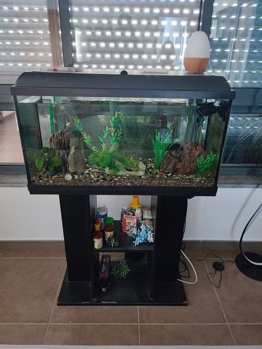 Aquário 100 Litros