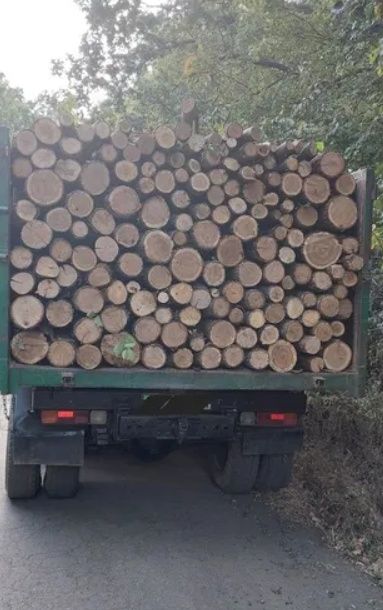 Дрова дубові рубані з ділянки, напряму, опт, роздріб. 3-5-6-10-27.5 м3