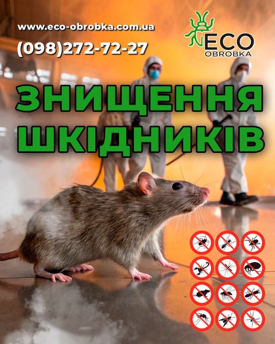 Знищення тарганів клопів бліх .ос шершнів плісняви грибка Дезинфекція