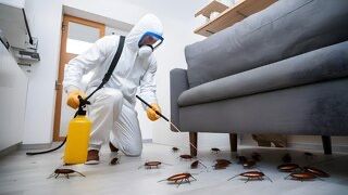 Професійне знищення тарганів,клопів,уничтожение тараканов прусаков